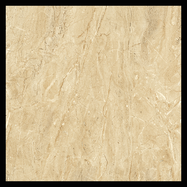 火爆遠銷中東歐地區 TC6801